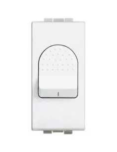 Bticino Lichtschalter 2p 32a n4011